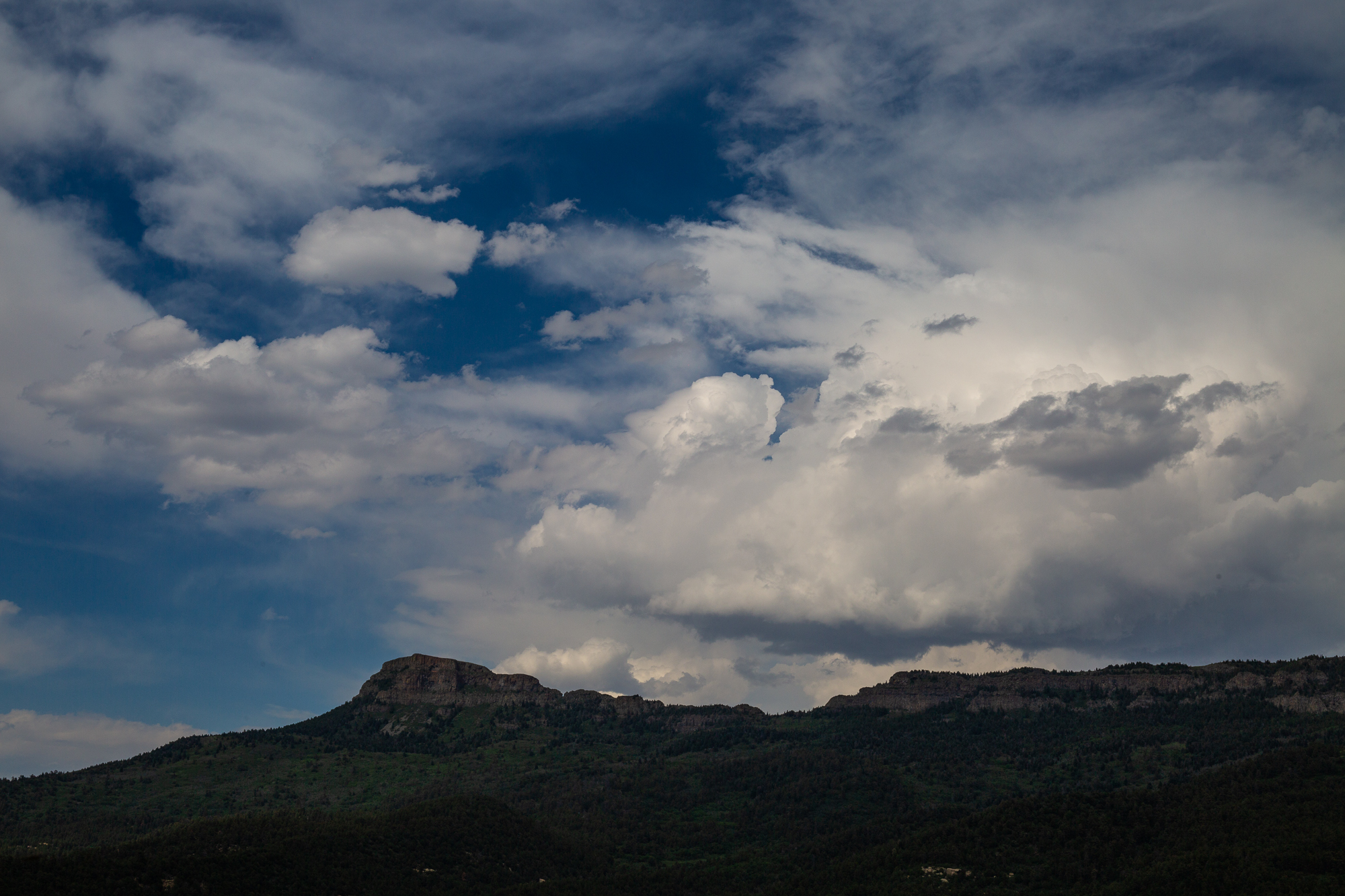 Could a massive southern Colorado ranch become a state park? It’s an ...