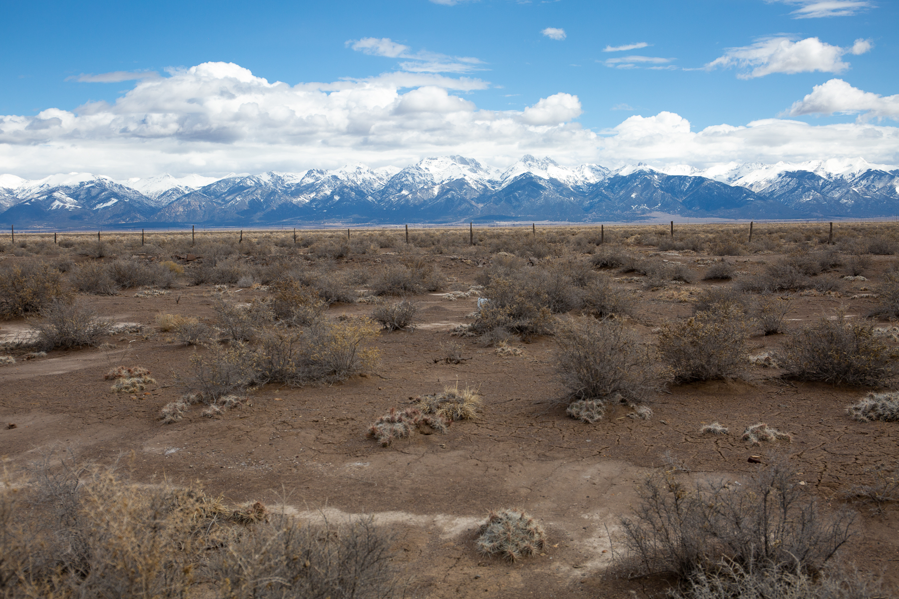 From rationing masks to polishing emergency plans, here’s how Colorado