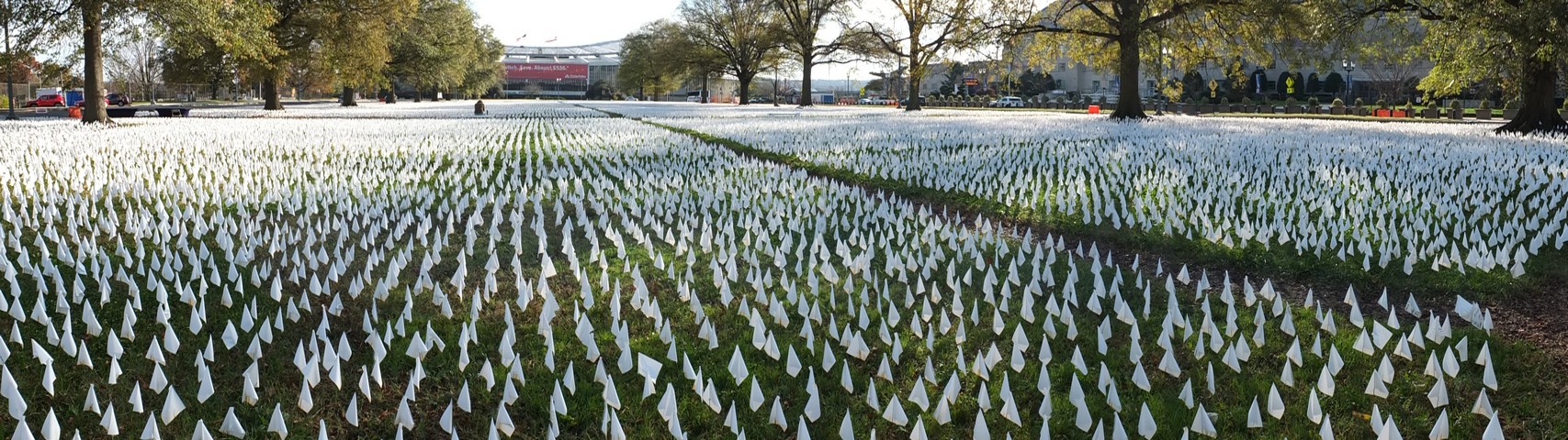 At least 610,000 white flags w...