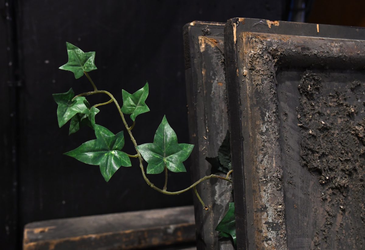 Ivy sticks out from a set item.