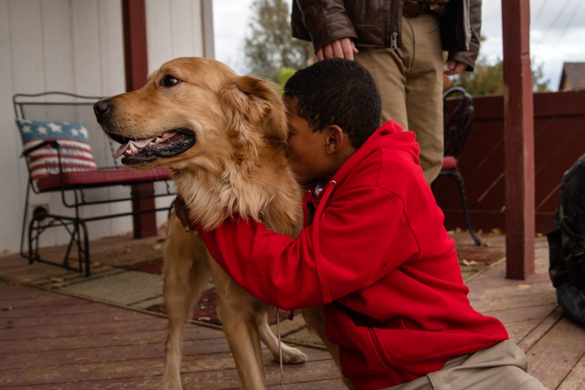 A boy nuzzles his head into a dog's neck.