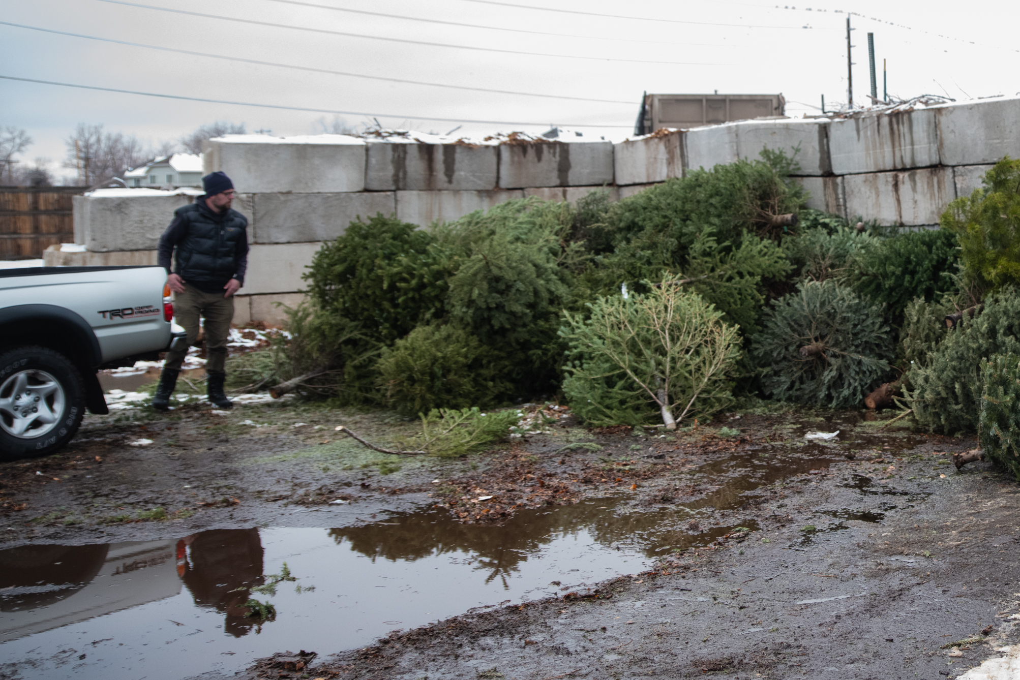 Will Denver pick up and compost my Christmas tree? Not anymore.