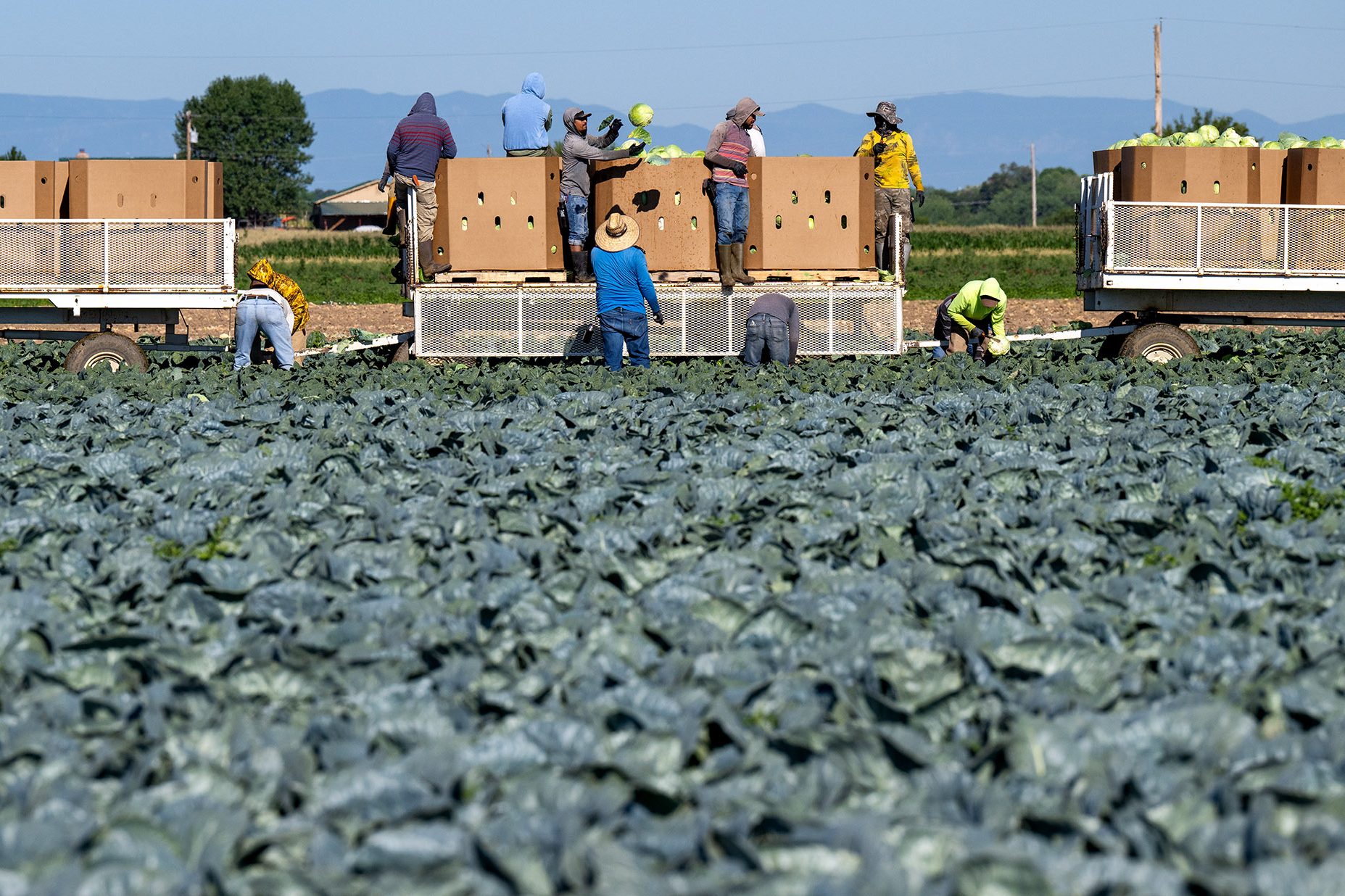 Colorado legislature votes to strip farmworkers of some overtime wage protections
