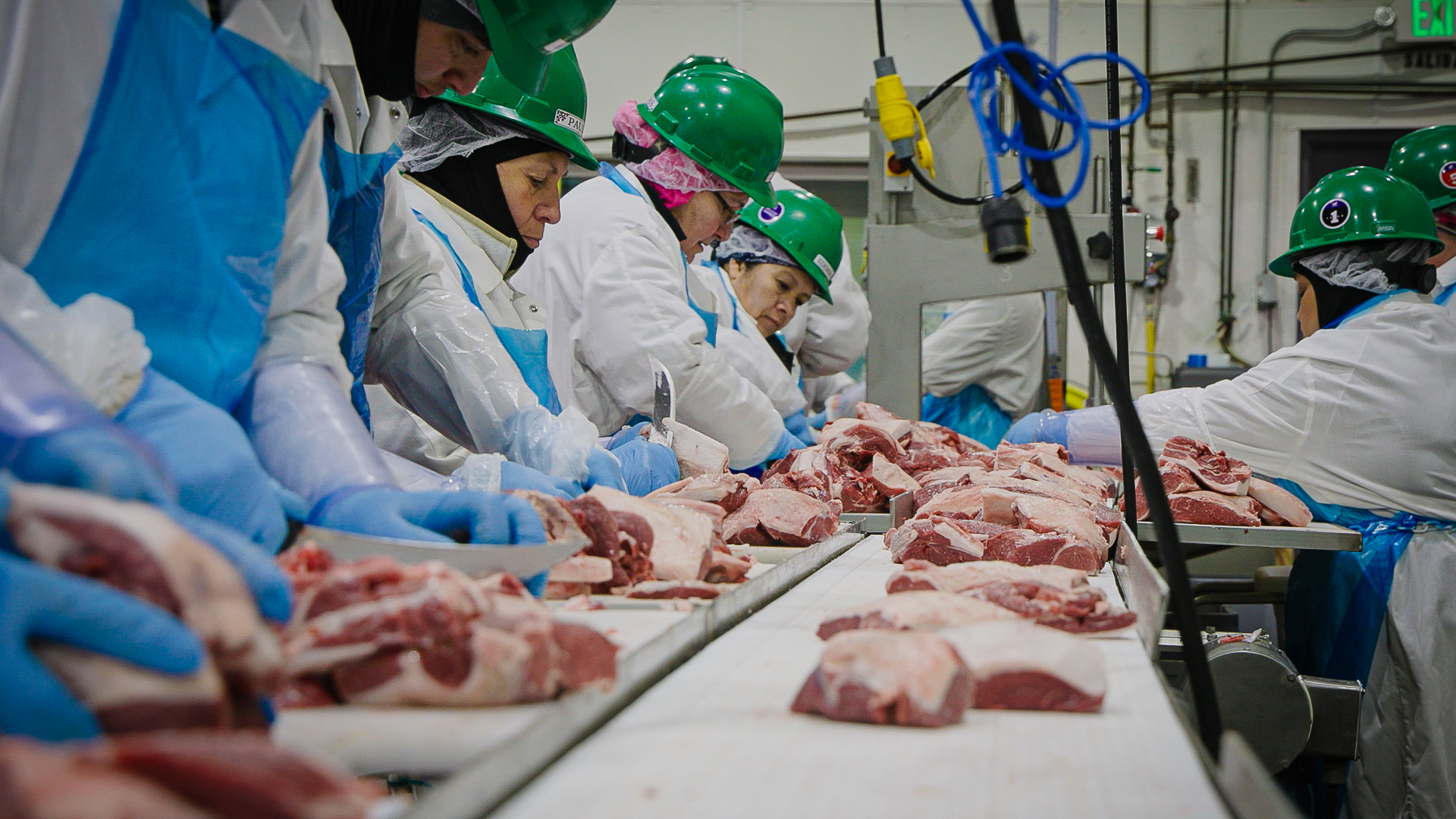 Ordinance 309 fails: Denver voters reject slaughterhouse ban - The ...