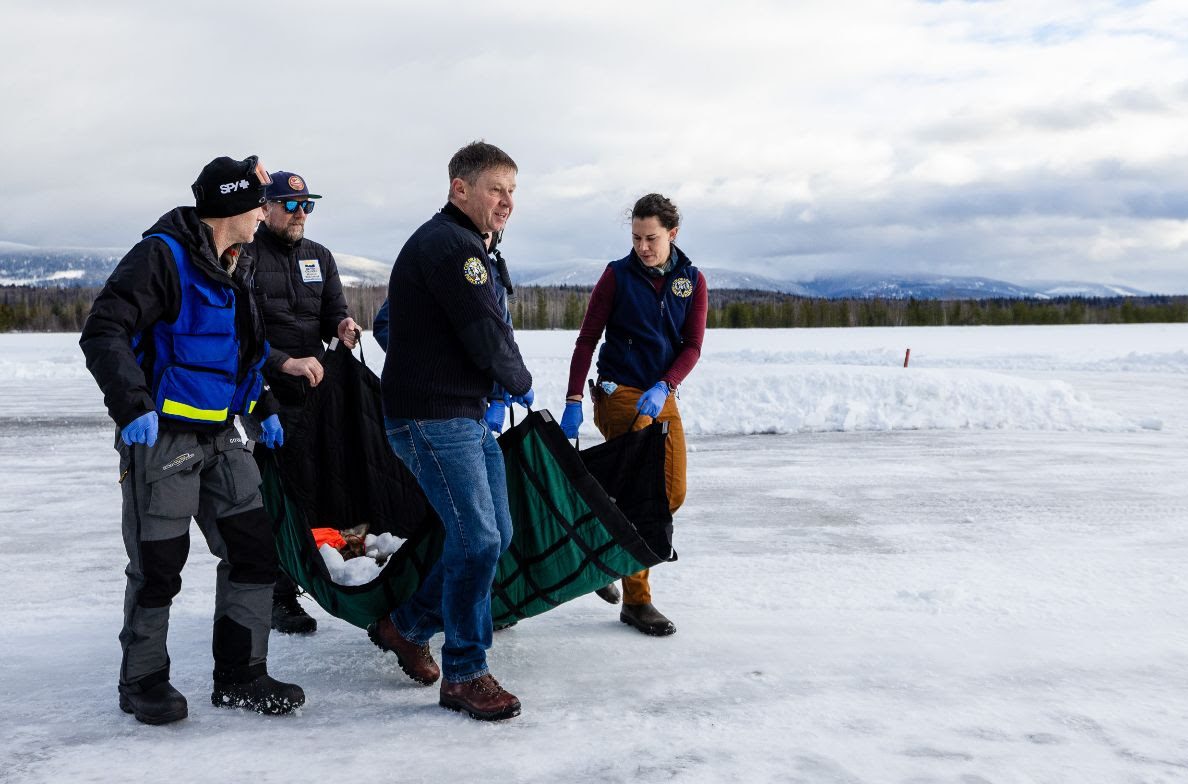 Greg Lopez says Colorado Parks and Wildlife could face “enforcement action” for Endangered Species Act violations