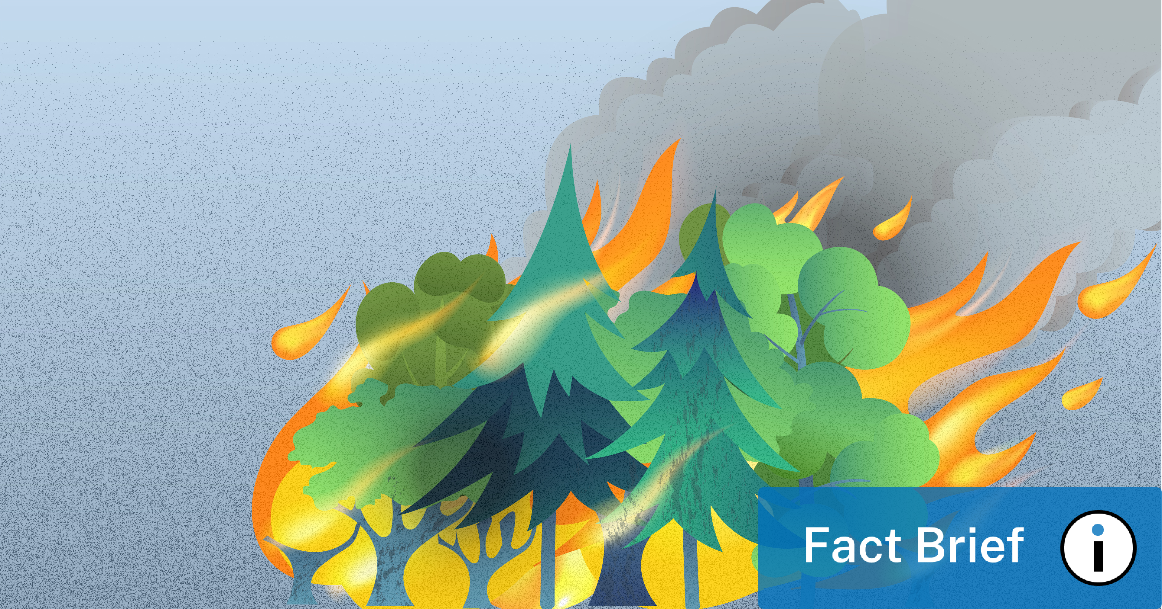 Are more than 80% of wildfires started by humans?