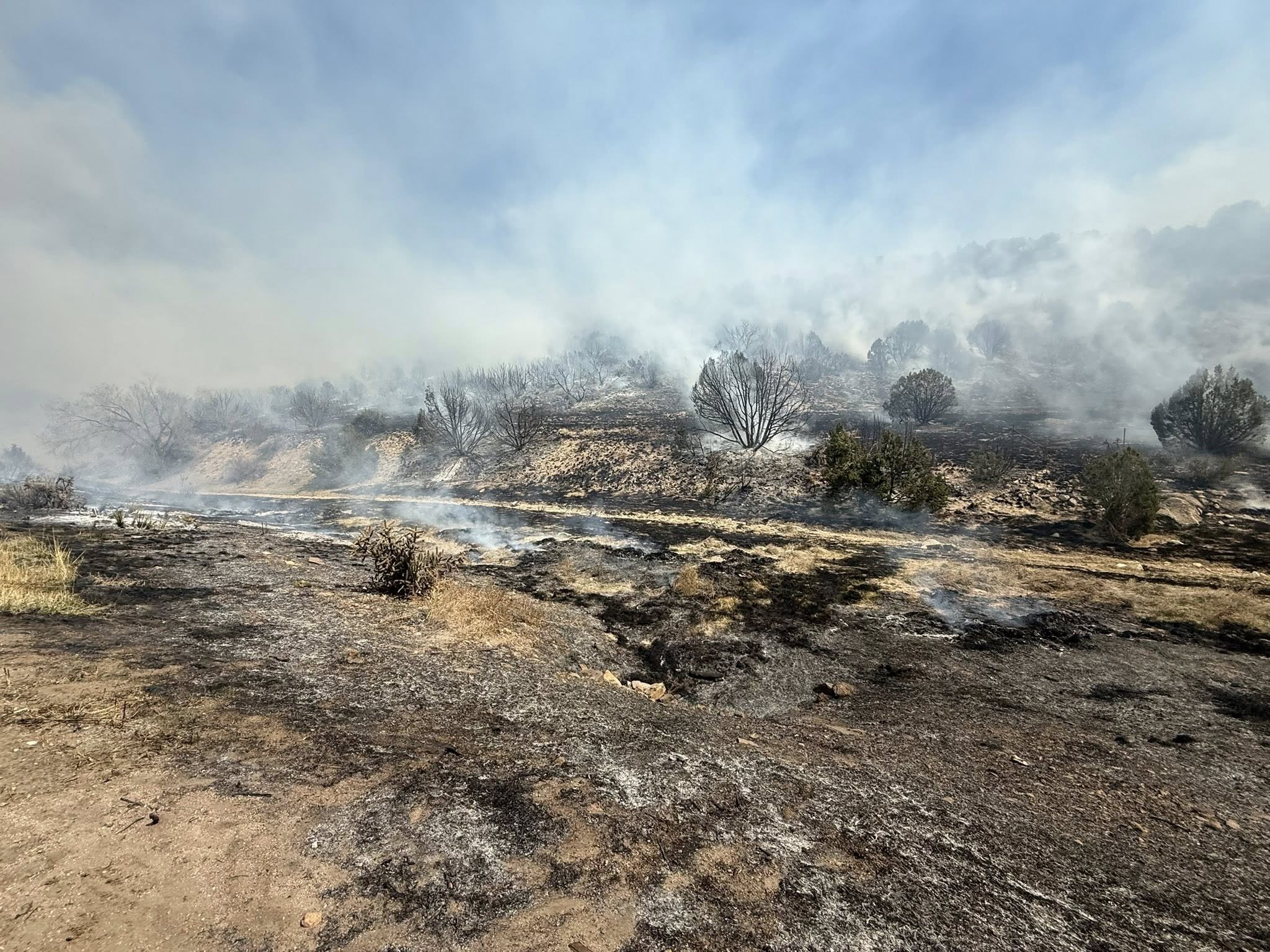 24 πυρκαγιά πιθανότατα προκλήθηκε από δυσλειτουργία αυτοκινήτου στην πλευρά του Κολοράντο 115