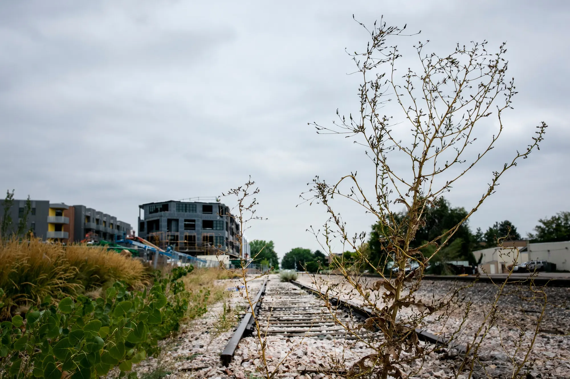 BNSF, state reach tentative deal to end 22-year wait for rail service to Northern Colorado