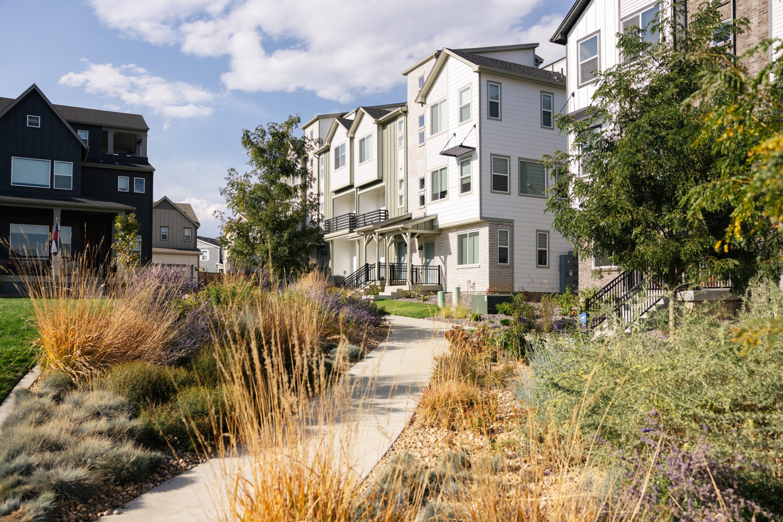 This Colorado neighborhood is saving bees through sustainable development. Here’s how.