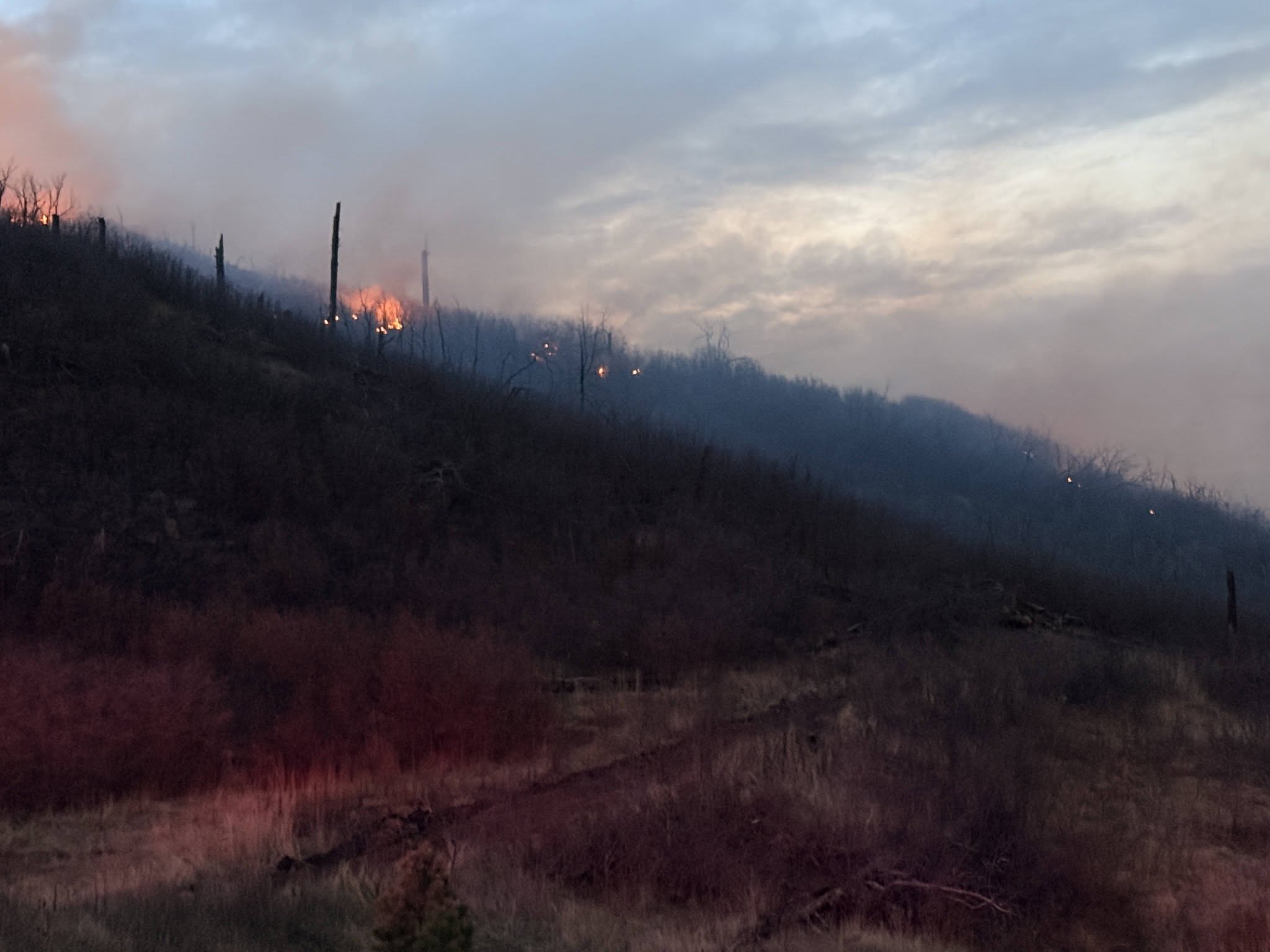 Colorado governor declares emergency for wildfire burning near Trinidad