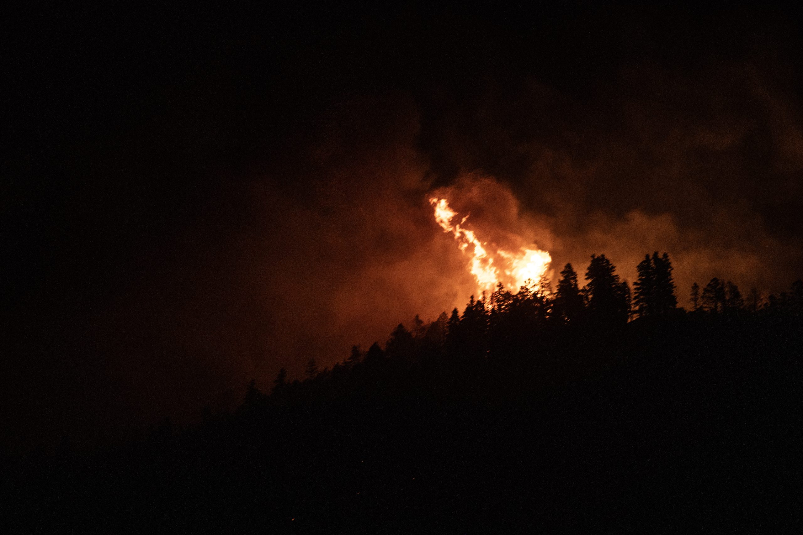 Ouray County residents can cast ballots online due to wildfire emergency 