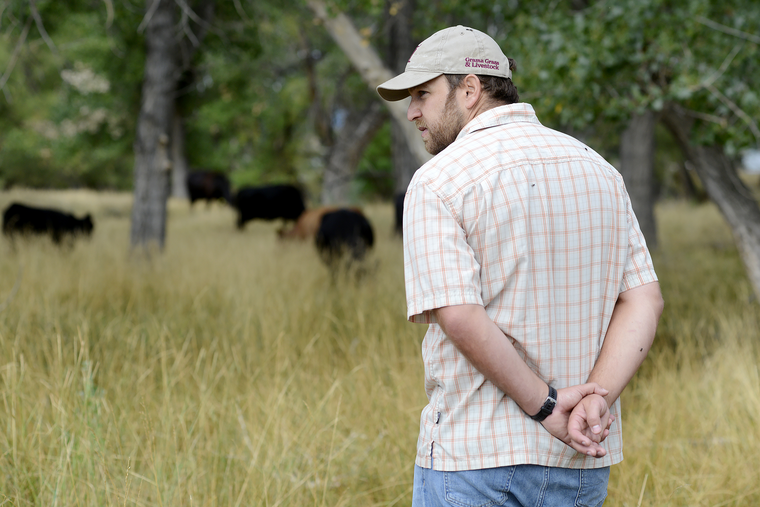How one small-scale Colorado rancher has withstood drought, rising costs and Trump’s plan to import beef