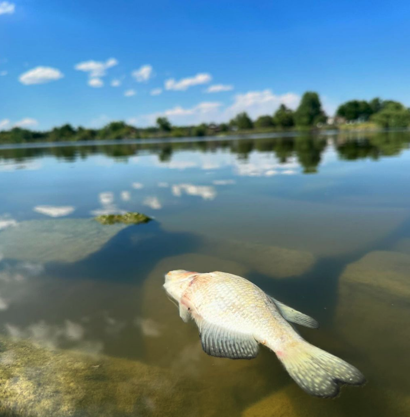 What will it take to fix Sloan's Lake? $50 million.